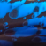 Blue and Red Camo style